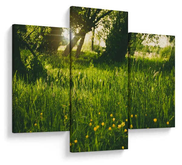 Tájkép - rét (90x60 cm)