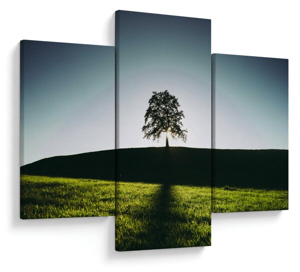 Természet kép - fa (90x60 cm)