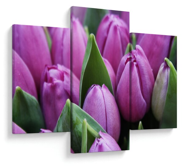Kép - tulipánok (90x60 cm)