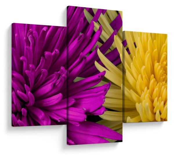 Kép - virág részlet (90x60 cm)