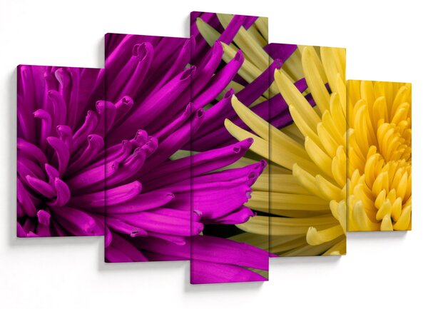 Kép - virág részlet (150x105 cm)