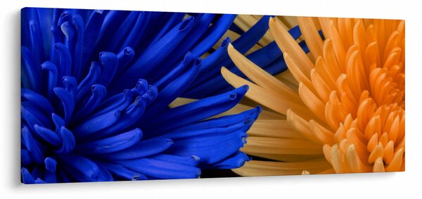 Részletes virágkép (120x50 cm)