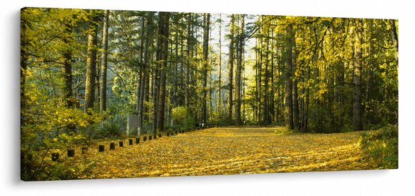 Kép - erdő ősszel (120x50 cm)