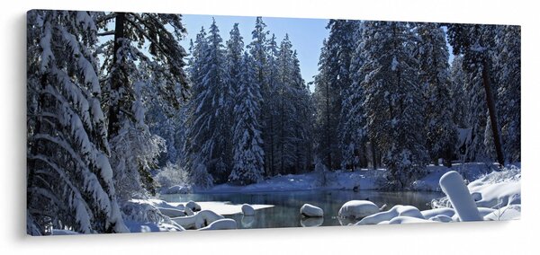 Havas erdő képe (120x50 cm)