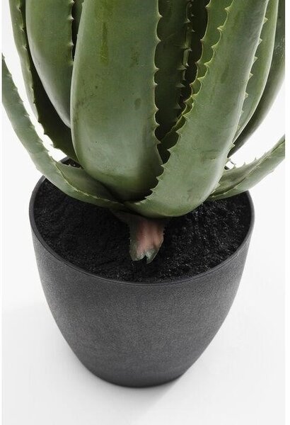 KARE Design Műaloe Dekoratív Növény 69 cm