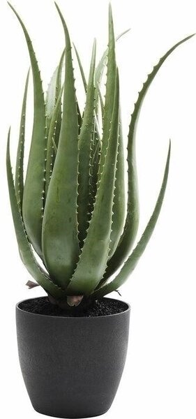 KARE Design Műaloe Dekoratív Növény 69 cm