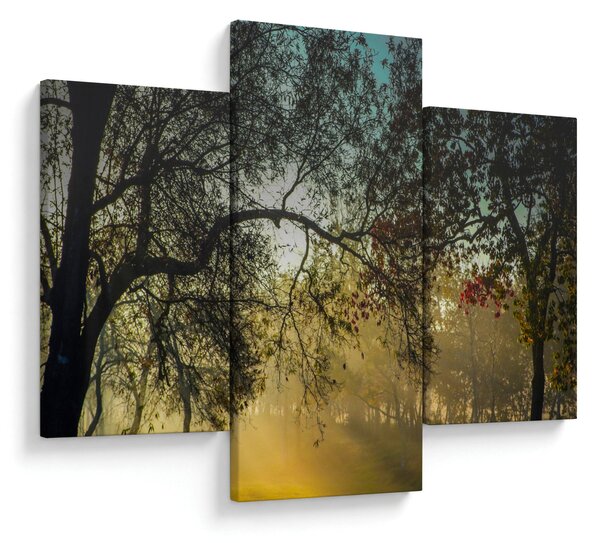 Napkelte képe (90x60 cm)