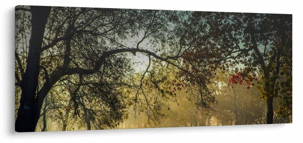 Napkelte képe (120x50 cm)