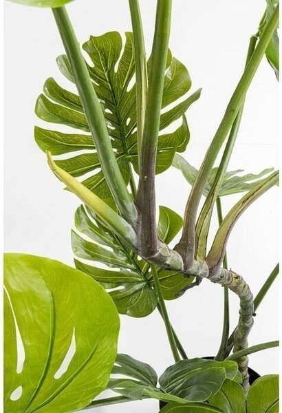 KARE Design Monstera Műnövény Dekoráció 110 cm