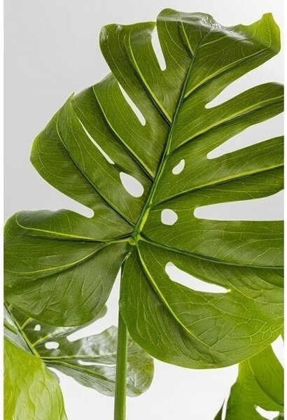 KARE Design Monstera Műnövény Dekoráció 110 cm