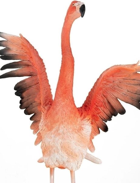 Kare Design Flamingo Road Fly Polimer Korall Dekoratív Szobor