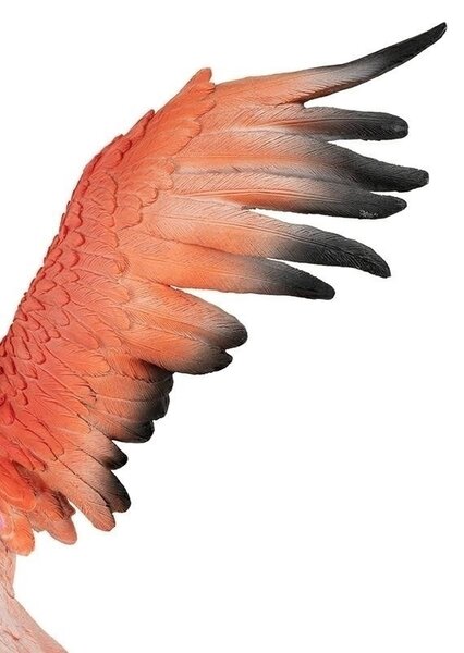 Kare Design Flamingo Road Fly Polimer Korall Dekoratív Szobor