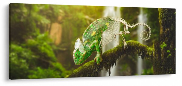 Gyík képe (120x50 cm)