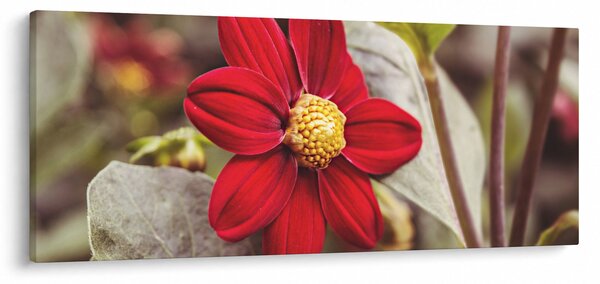 Virág képe (120x50 cm)