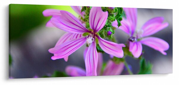 Részletes virágkép (120x50 cm)