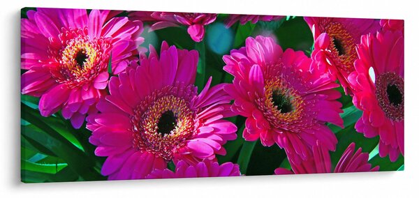 Kép - virágok (120x50 cm)