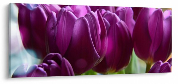 Tulipán képe (120x50 cm)