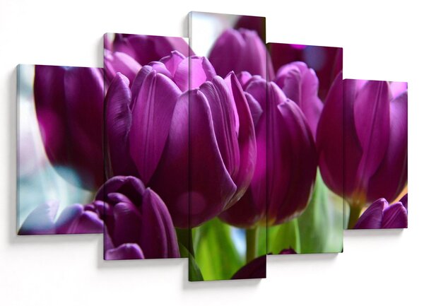 Tulipán képe (150x105 cm)