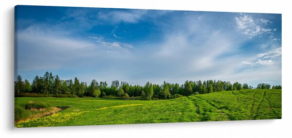 Rét képe (120x50 cm)