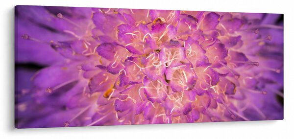 Részletes virágkép (120x50 cm)