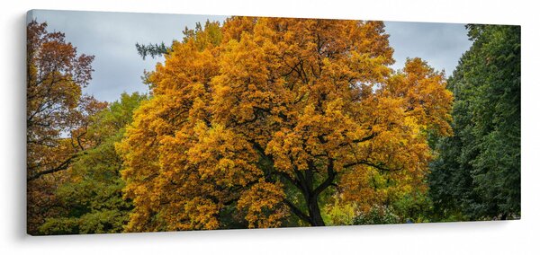 Fa képe (120x50 cm)