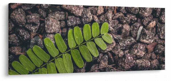Zöld növények képe (120x50 cm)