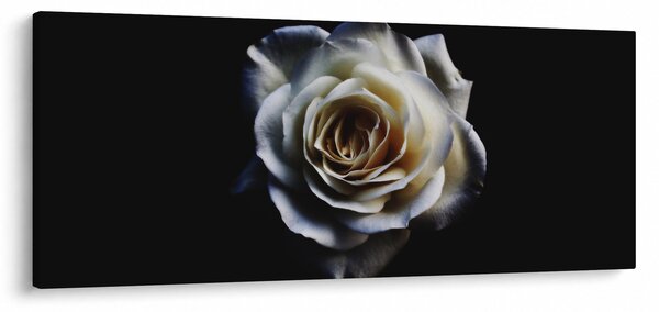 Fehér rózsa képe (120x50 cm)