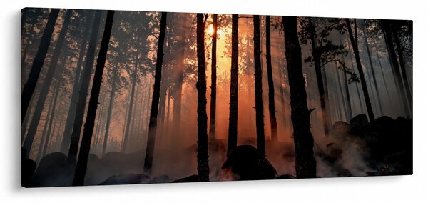 Sötét erdő képe (120x50 cm)