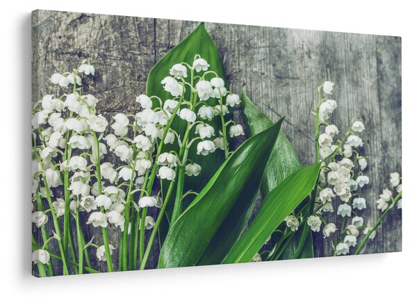 A gyöngyvirág képe (90x60 cm)
