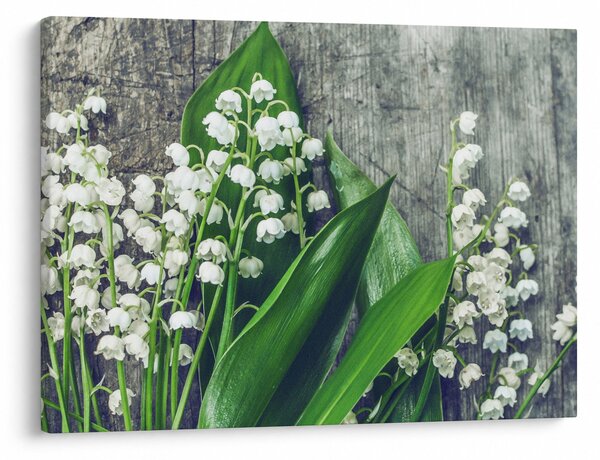 A gyöngyvirág képe (70x50 cm)
