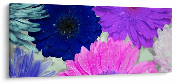 Színes virágok képe (120x50 cm)