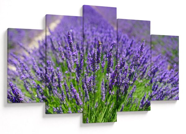 Kép - levandula (150x105 cm)