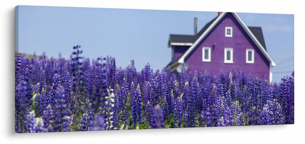 Levandula mező képe (120x50 cm)