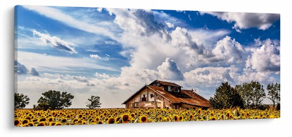 Napraforgó mező képe (120x50 cm)