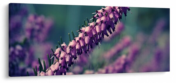 Levandula képe (120x50 cm)