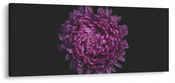 Lila virág képe (120x50 cm)