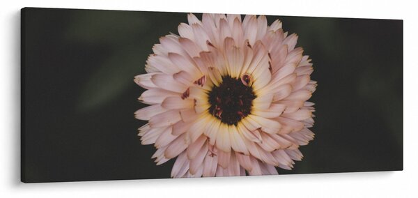 Narancsságra virág képe (120x50 cm)