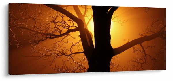 Kép egy fáról naplementekor (120x50 cm)