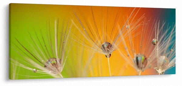Cseppek a növényen képe (120x50 cm)