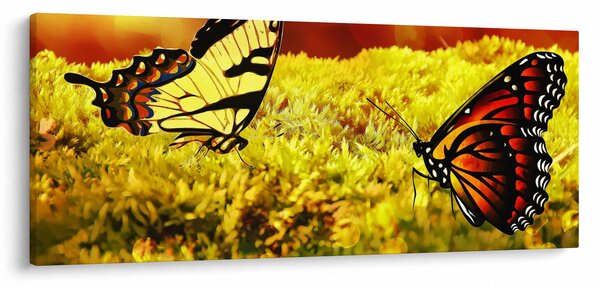 Pillangó képe (120x50 cm)