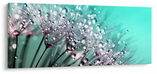 Kép - harmatos növény (120x50 cm)
