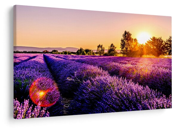 Levandula mező képe (90x60 cm)