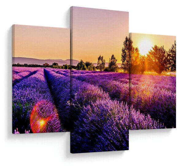 Levandula mező képe (90x60 cm)