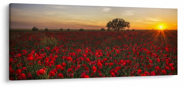 Pipacsos rét képe (120x50 cm)