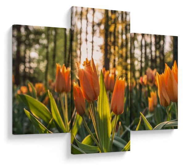 Narancssárga tulipán képe (90x60 cm)