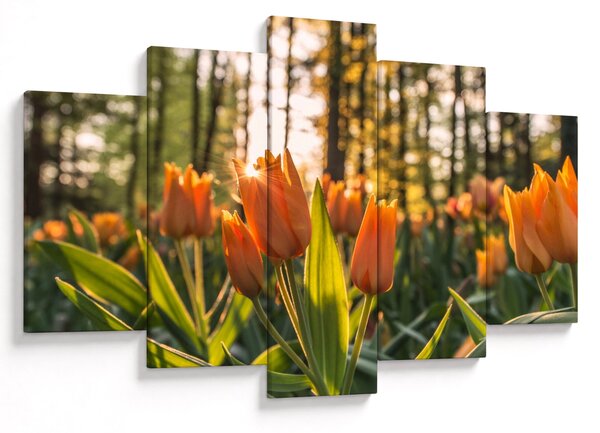 Narancssárga tulipán képe (150x105 cm)