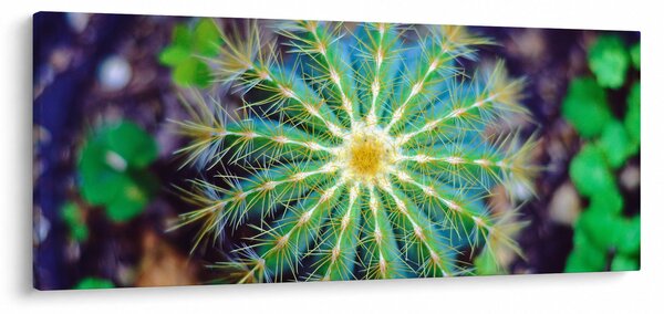 Kaktusz kép (120x50 cm)