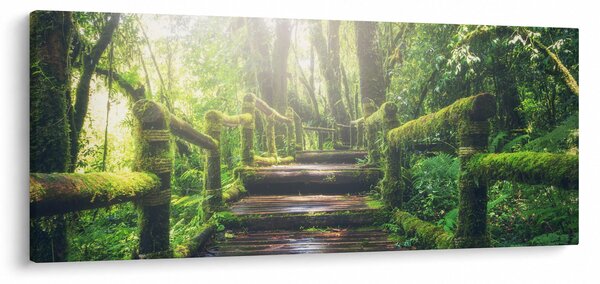 Kép - falépcsők az erdőben (120x50 cm)