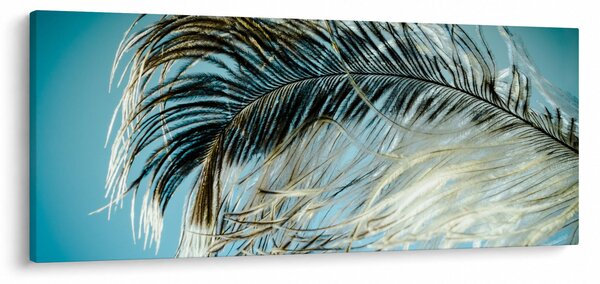 Tollas kép (120x50 cm)