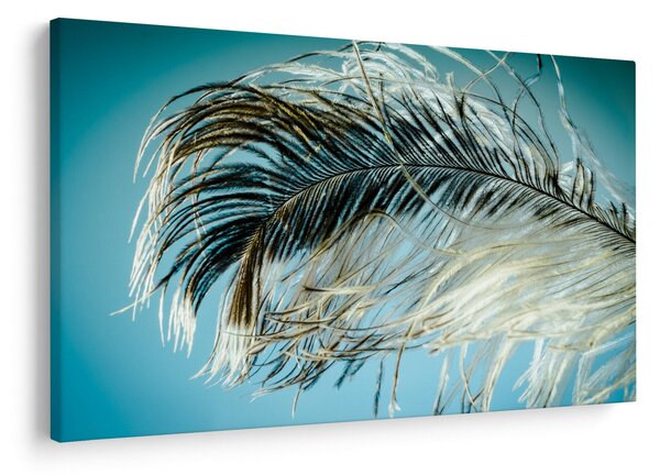 Tollas kép (90x60 cm)